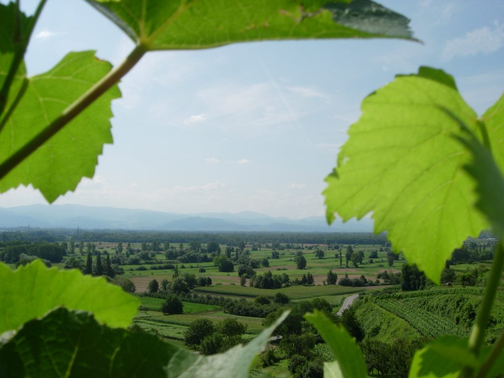 Blick über die Landschaft