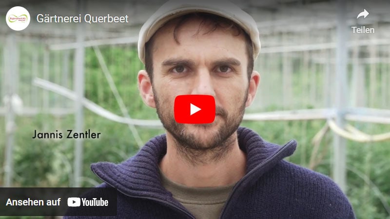 Querbeet Film bei Youtube